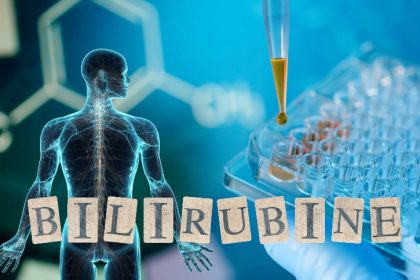 Quel est le rôle de la bilirubine dans le corps